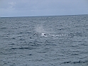 Obraz 484